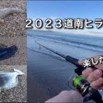 いつも通うサーフでいろんな魚が釣れた✨