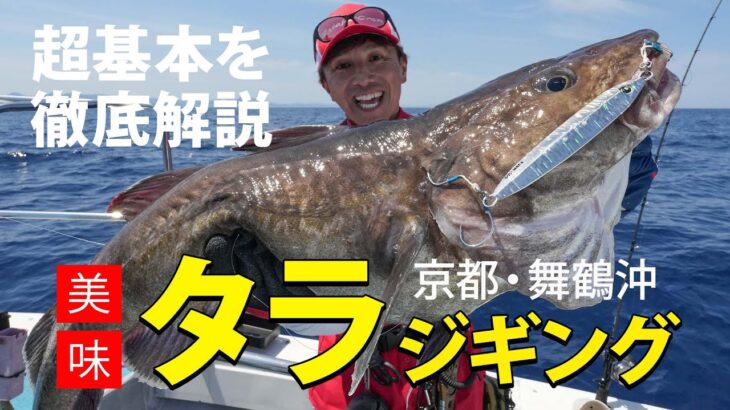 【美味】タラジギング超基本を解説！京都・舞鶴沖