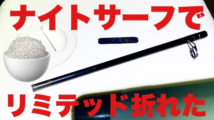 【鹿島灘サーフ】ご飯の準備をしてご視聴宜しくメカドック