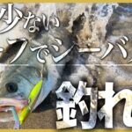 最近の仙台サーフどう？久しぶりに行ったらシーバスが釣れました【釣り　宮城】