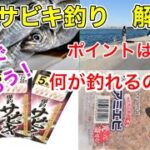 サビキ釣り  ゆっくり解説