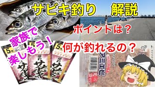 サビキ釣り  ゆっくり解説