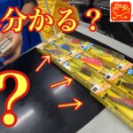 皆さんはこの色分けが分かりますか？イカマイスターがスッテのカラーを完全解説！【イカメタル&オモリグ】