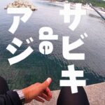 【淡路島 西浦】サビキ釣りでアジを釣って食う！