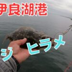 伊良湖でサビキ釣り