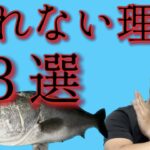 シーバスが釣れない本当の理由！釣れるハイシーズンに必見！