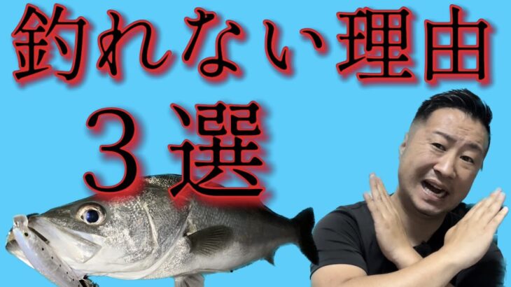 シーバスが釣れない本当の理由！釣れるハイシーズンに必見！