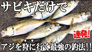 朝マズメにサビキを投げたら金アジが連発した！集魚剤もアミコマセもウキもカゴもいらないサビキ釣り！アジを狩る最強釣法！