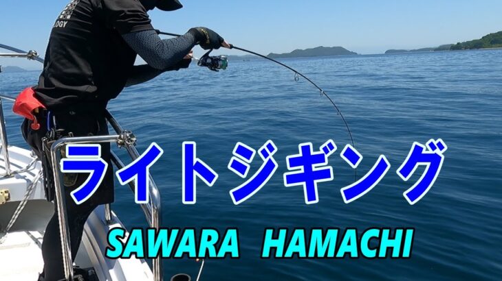 【瀬戸内海ライトジギング】サワラ・ハマチ　周防大島周辺