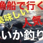 今年初の白イカ釣り‼️景色最高‼️これからが本番‼️釣果は？釣った後の超簡単な冷凍保管で年中美味しく食べよう！#山陰 #境港#遊漁船#ケンサキイカ#島根半島