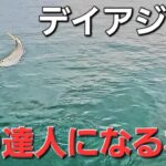 【アジング】デイアジング上達への近道これも大切。