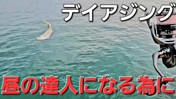 【アジング】デイアジング上達への近道これも大切。