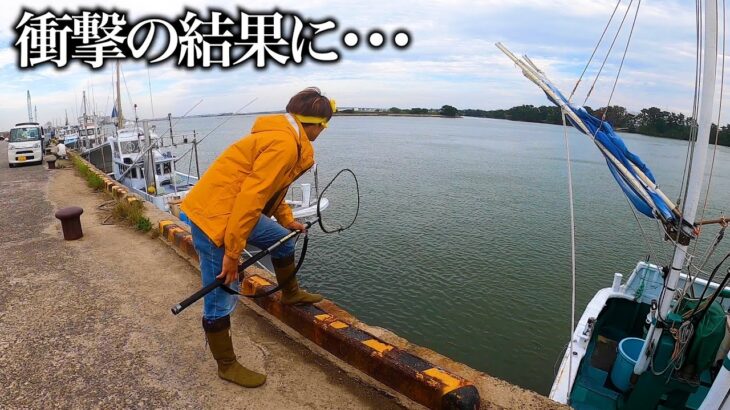 車エビをすくいに来たら７０センチ越えの怪物魚がすくい放題に！！！！！