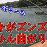 日中にファミリーフィッシングでサビキ釣りで色々釣れます【高知釣り】