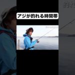 【アジング】鯵はこの時間を狙うべし！