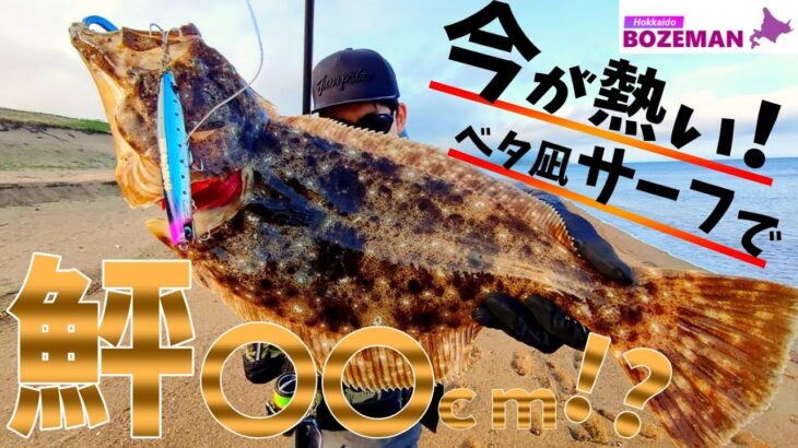 ベタ凪サーフで熱いファイト！良型ヒラメ〇〇ｃｍ！？【北海道釣り最新】【ヒラメ釣り】