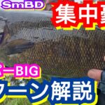 yasu 集中豪雨のバス釣り【川バス釣り】スモールマウスバス2023年6月Small mouth bass fishing
