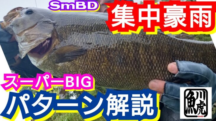 yasu 集中豪雨のバス釣り【川バス釣り】スモールマウスバス2023年6月Small mouth bass fishing