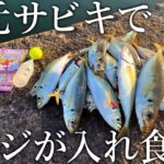 足元でアジが入れ食い！100円のサビキで無限アジ釣りが楽しめる堤防がスゴすぎました