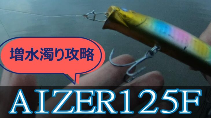 アイザー125fで増水濁りリバーシーバス