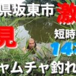 【茨城バス釣りポイント】八坂水生公園の池はバスの巣窟だった！短時間で14本！40アップも！【バス釣りポイント】