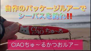 パッケージルアーでシーバスを釣れ!!第2弾