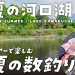 【2023年河口湖オカッパリ】ポークルアー「豚うなぎ」で初夏の数釣りを楽しむ【河口湖バス釣り】