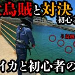 【エギング】エギにデカイカが数杯ついてきました!!初心者のシマはデカイカを釣ることができるのか？2023 7月 エギング