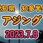 2023 7 8愛知県知多半島アジング