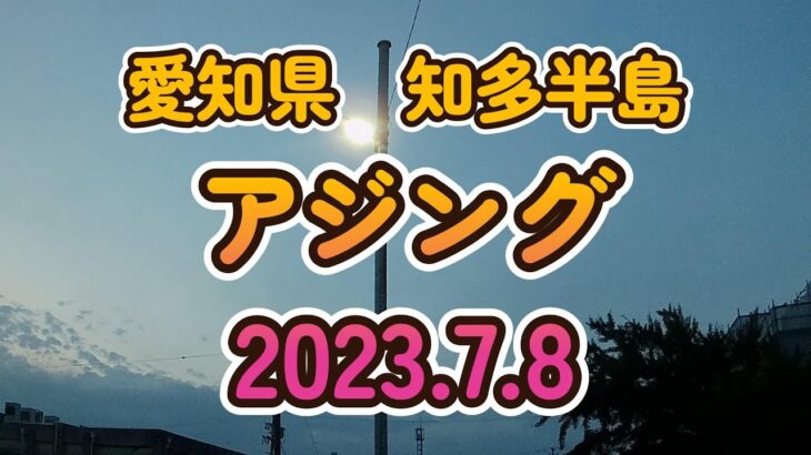 2023 7 8愛知県知多半島アジング