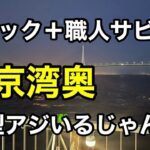 【ふれーゆ裏】サビキを２連結させてアジを狙う⁉︎横浜の人気な釣り場2023.7