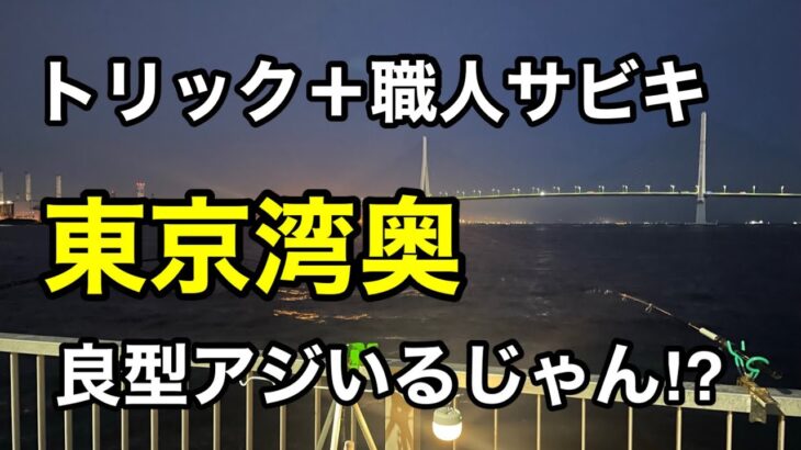 【ふれーゆ裏】サビキを２連結させてアジを狙う⁉︎横浜の人気な釣り場2023.7