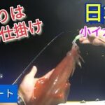 【2023.7.6】ミニボートでイカ釣り！オモリグ＋昔ながらの仕掛けで数釣りを楽しむ!小イカ祭りⅡ