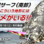 【鹿島灘サーフ ヒラメ】やっぱりこういう地形にはヒラメがいる！2023年7月1日（土）釣行