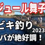 アジュール舞子でサビキ釣りでサバ爆釣　2023/7/16