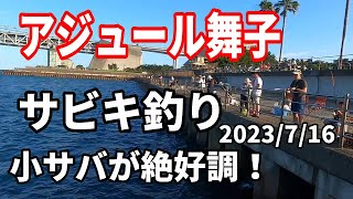 アジュール舞子でサビキ釣りでサバ爆釣　2023/7/16