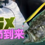 【スロージギング】2日連続オフショアで釣り！1日目は茨城県久慈港から根魚狙いで4HIT！