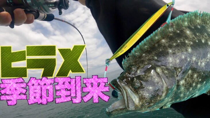 【スロージギング】2日連続オフショアで釣り！1日目は茨城県久慈港から根魚狙いで4HIT！