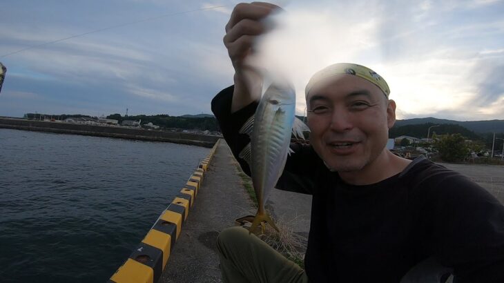 赤泊でサビキ釣りしてアジ釣って食べる【佐渡釣り車中泊♯3】