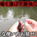 【沈み蟲3.2㌅】とにかくデカバスを釣りたい方はこの動画を見てください。