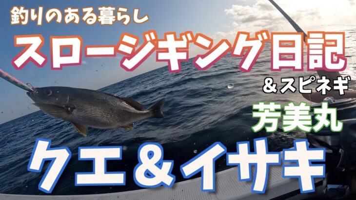 釣りのある暮らしスロージギング日記＃34〜芳美丸でクエ＆イサキ狙い〜