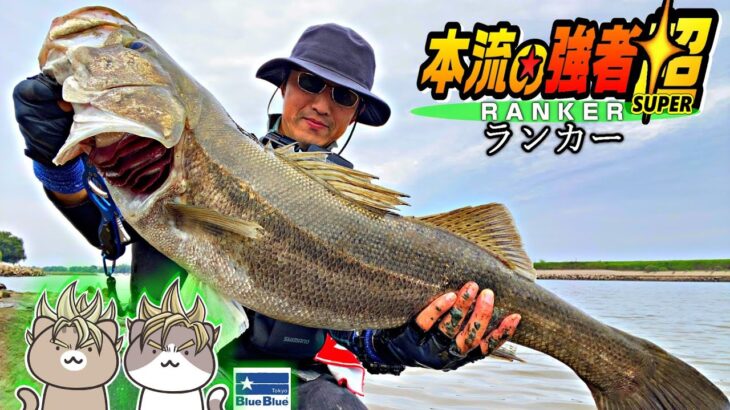 【400円】これぞ筑後川！超ランカーシーバスが釣れる条件は…【リバーシーバス/エツ】