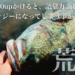 【埼玉】真夏の荒川メジャーポイントでブラックバスの50upを釣ってしまう