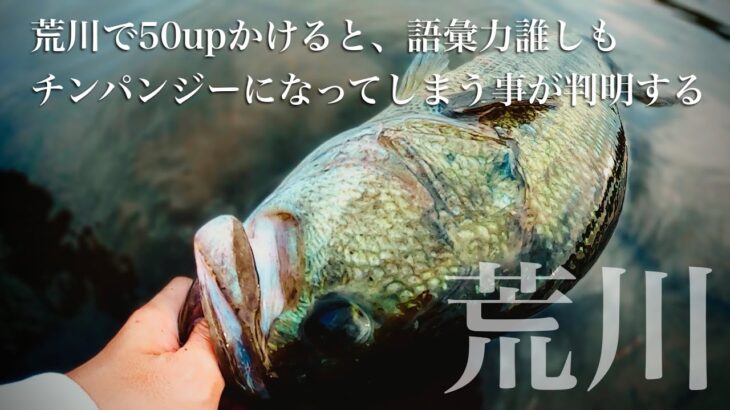 【埼玉】真夏の荒川メジャーポイントでブラックバスの50upを釣ってしまう