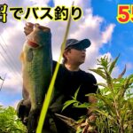 手賀沼で55センチ　バス釣り