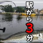 【駅下サビキ釣り】横浜アジ‼車でも電車でもアクセス抜群の釣り場で、アジ狙いの60分‼フィッシングドキュメンタリー‼