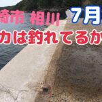 7月 長崎市相川 エギング イカ釣り調査！足場の高い釣り場