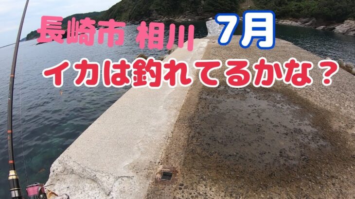 7月 長崎市相川 エギング イカ釣り調査！足場の高い釣り場