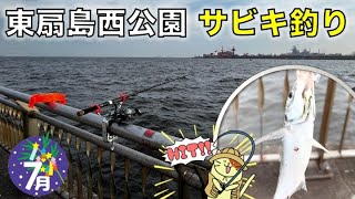 7月の東扇島西公園でサビキ釣り釣査！湾奥で中々釣れない、人気のあの魚の良型をゲット！！