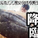 【7月サーフ】状況に合わせた〇〇の選択でドラグ音鳴らすヒラメが！！～宮城県仙南サーフフラットフィッシュ～